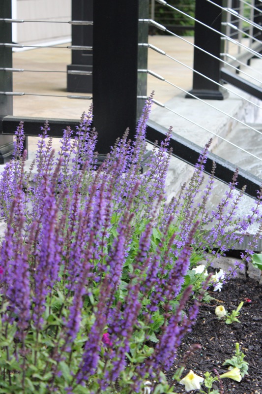 Deck & landscape — East Patchogue, NY